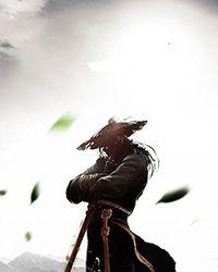 狂飙王1和狂飙王2